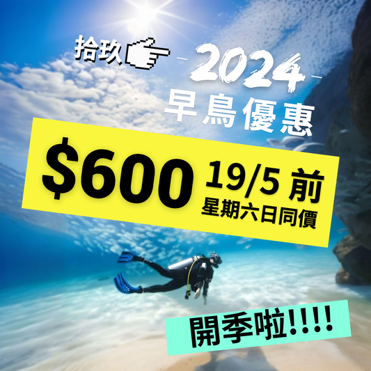 Weekday/holiday charter boat diving